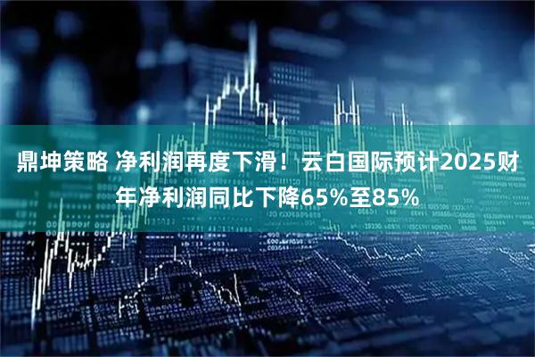 鼎坤策略 净利润再度下滑！云白国际预计2025财年净利润同比下降65%至85%