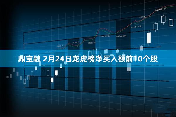 鼎宝融 2月24日龙虎榜净买入额前10个股