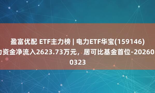 盈富优配 ETF主力榜 | 电力ETF华宝(159146)主力资金净流入2623.73万元，居可比基金首位-20260323