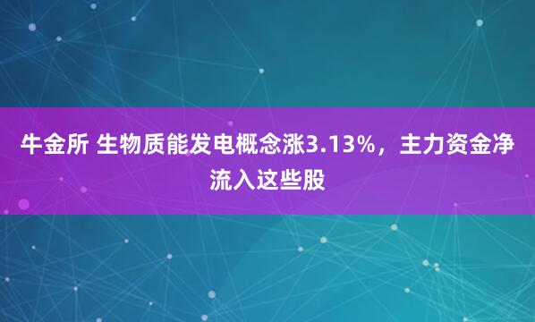 牛金所 生物质能发电概念涨3.13%,主力资金净流入这些股