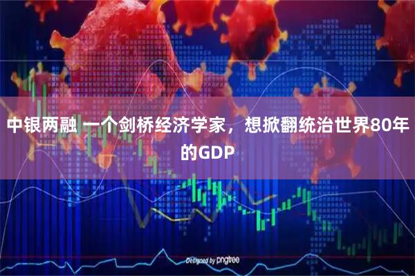 中银两融 一个剑桥经济学家，想掀翻统治世界80年的GDP
