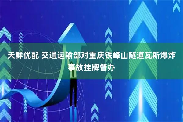 天鲜优配 交通运输部对重庆铁峰山隧道瓦斯爆炸事故挂牌督办