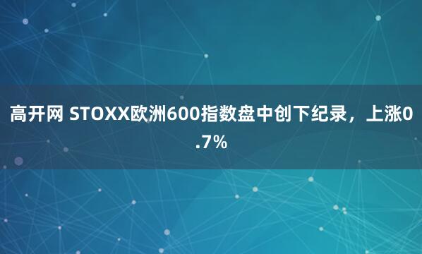 高开网 STOXX欧洲600指数盘中创下纪录，上涨0.7%
