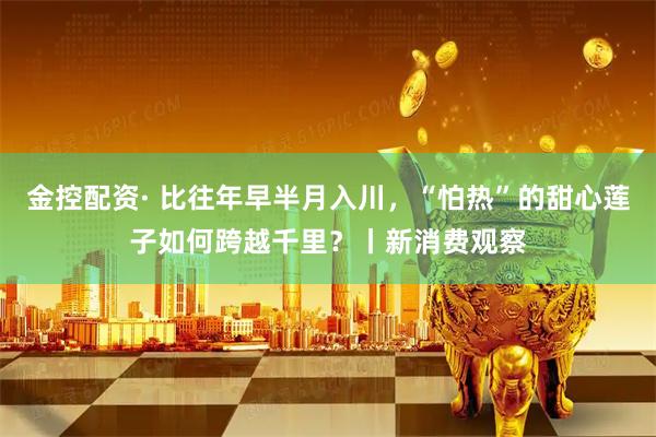 金控配资· 比往年早半月入川,“怕热”的甜心莲子如何跨越千里?丨新消费观察
