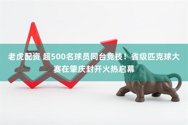 老虎配资 超500名球员同台竞技！省级匹克球大赛在肇庆封开火热启幕