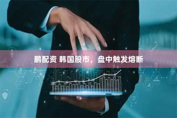 鹏配资 韩国股市，盘中触发熔断