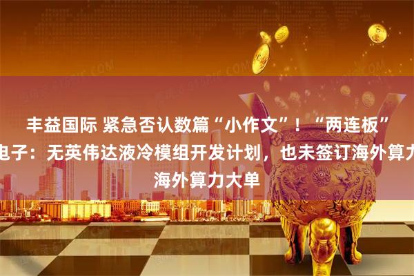 丰益国际 紧急否认数篇“小作文”！“两连板”利通电子：无英伟达液冷模组开发计划，也未签订海外算力大单