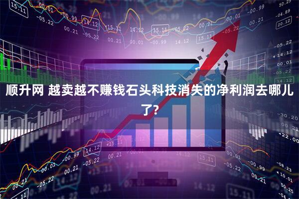 顺升网 越卖越不赚钱石头科技消失的净利润去哪儿了?