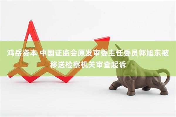 鸿岳资本 中国证监会原发审委主任委员郭旭东被移送检察机关审查起诉