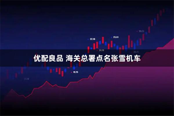 优配良品 海关总署点名张雪机车