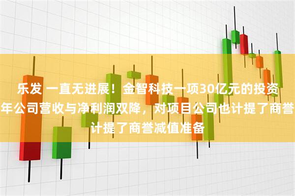 乐发 一直无进展！金智科技一项30亿元的投资终止，去年公司营收与净利润双降，对项目公司也计提了商誉减值准备