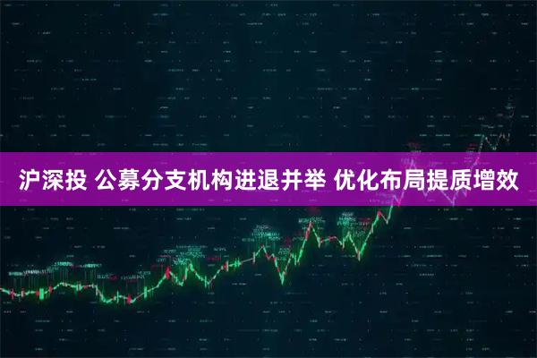 沪深投 公募分支机构进退并举 优化布局提质增效