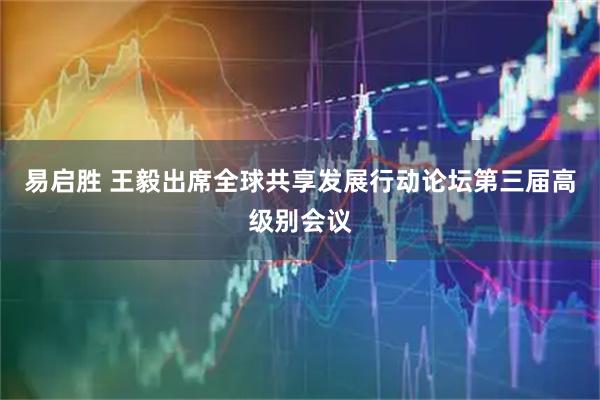 易启胜 王毅出席全球共享发展行动论坛第三届高级别会议