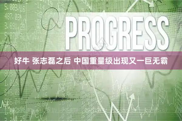 好牛 张志磊之后 中国重量级出现又一巨无霸