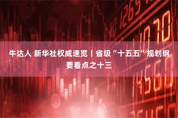 牛达人 新华社权威速览丨省级“十五五”规划纲要看点之十三