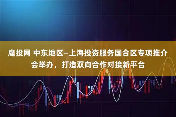 魔投网 中东地区—上海投资服务国合区专项推介会举办，打造双向合作对接新平台