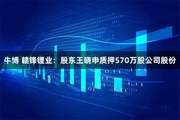牛博 赣锋锂业：股东王晓申质押570万股公司股份