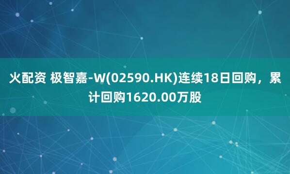 火配资 极智嘉-W(02590.HK)连续18日回购，累计回购1620.00万股