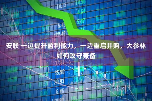 安联 一边提升盈利能力，一边重启并购，大参林如何攻守兼备