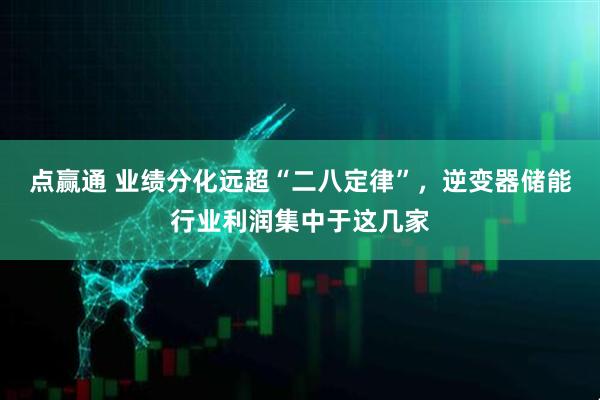 点赢通 业绩分化远超“二八定律”，逆变器储能行业利润集中于这几家