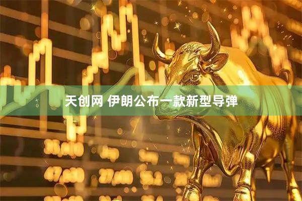 天创网 伊朗公布一款新型导弹
